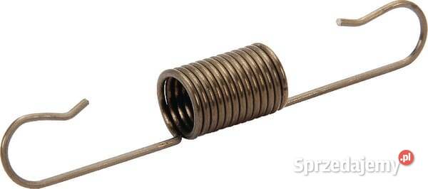 Sprężyna regulacyjna 16561Z0M860 Kamionna