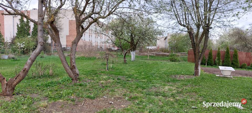 Działka ROD Targowa rekreacyjna Nieruchomości Malbork
