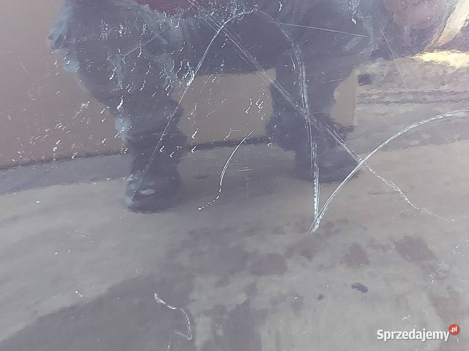 NISSAN JUKE F15 15r drzwi prawe tył 150 mikronów Części samochodowe Kielce sprzedam