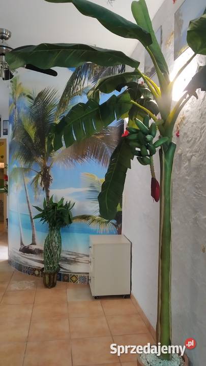 Sztuczne drzewko bananowiec 250 w donicy Warszawa sprzedam