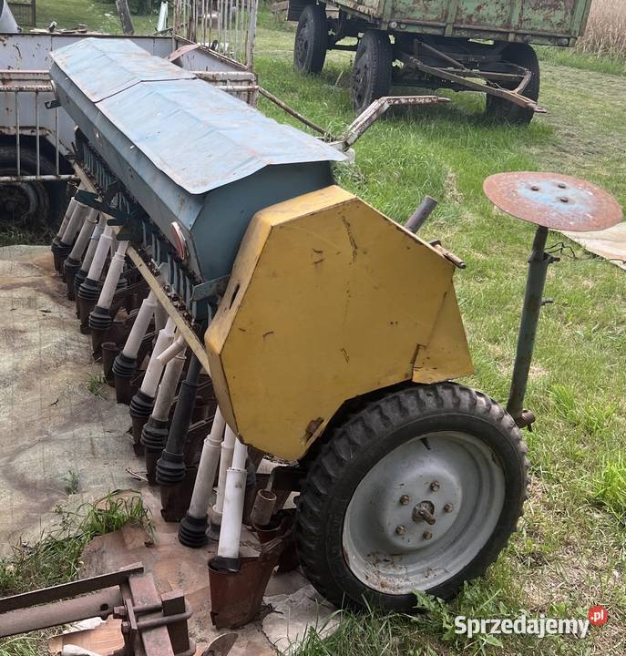 Siewnik Poznaniak nieuszkodzony Ogonowo
