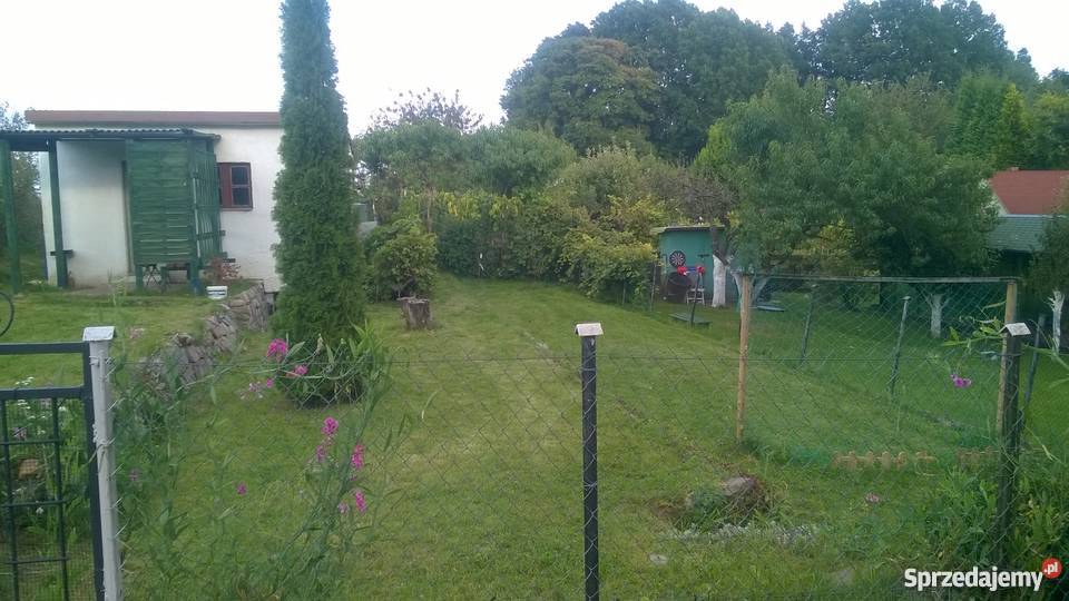 DZIAŁKA ROD PUSZCZA SZCZECIN BUKOWE