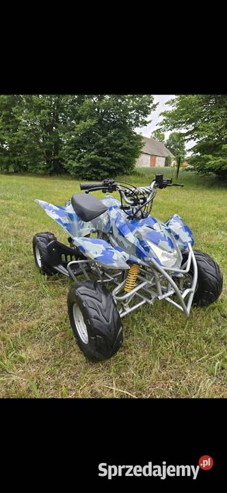 Quad ATVJumper 110125cc Koła 7 Automat Stan Nowy Rok produkcji 2023 Kruszwica