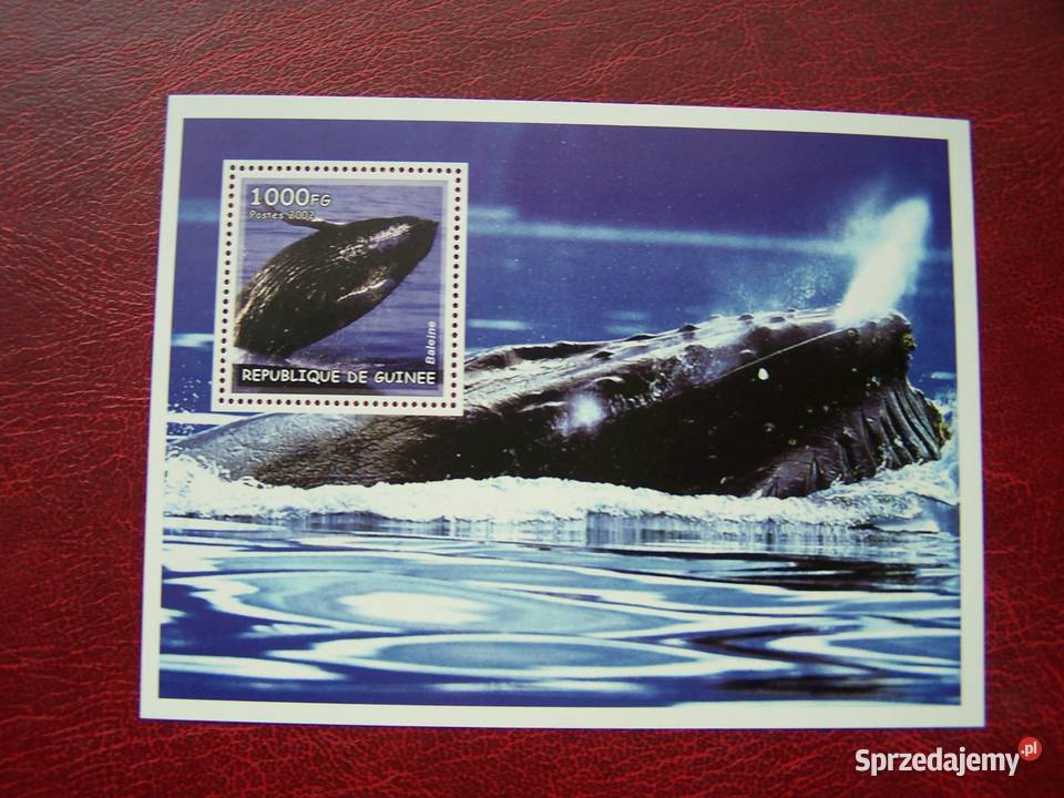Gwinea 2002 MNH Fauna Życie Morskie Wieloryby śląskie Tychy