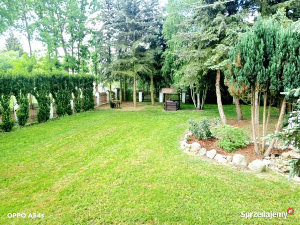 Dom wolnostojący 200 m2 w otulinie ciszy Kolonia Kolonia Rozniszew