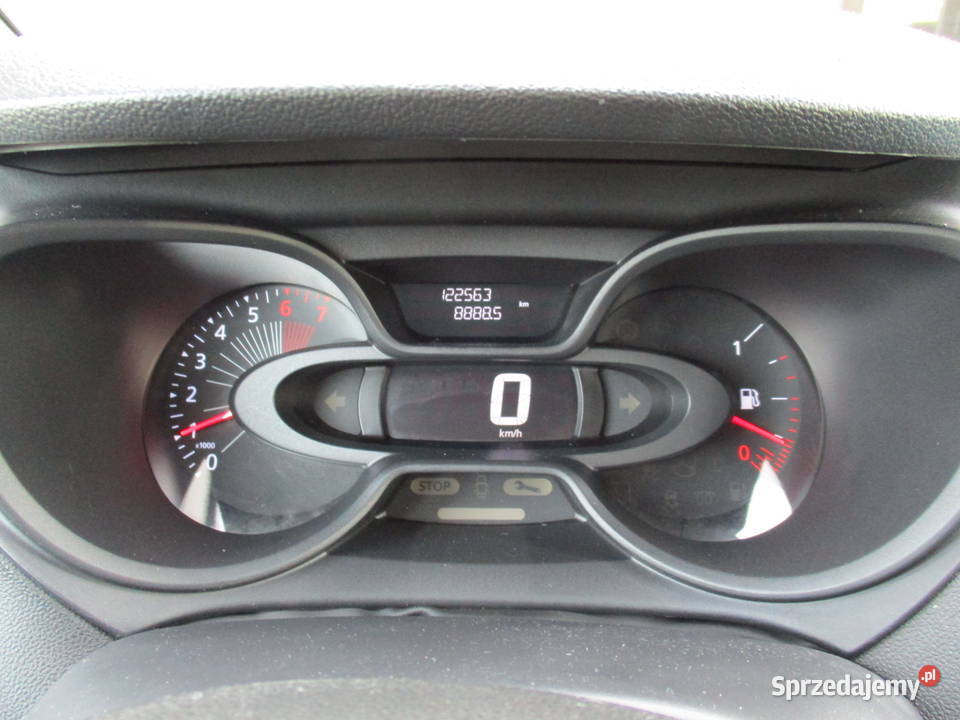 SALON POLSKA IDEALNY STAN DUŻYM SERWISIE Kozerki