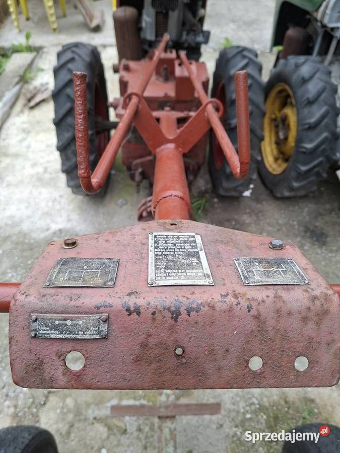Dzik 2 1968r