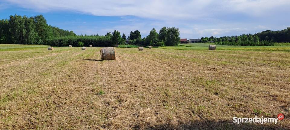 Siano Trawy, słoma Krasnystaw