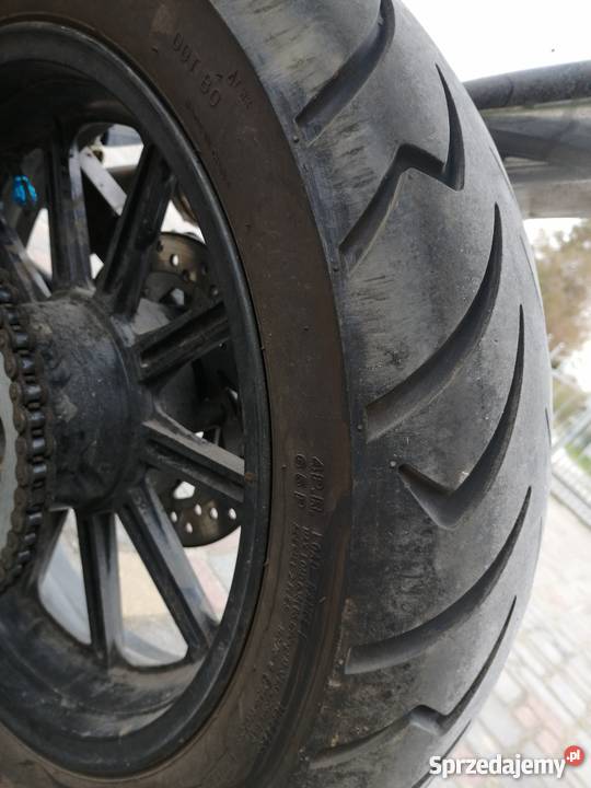 Zip Pro 50 zachodniopomorskie Kołobrzeg