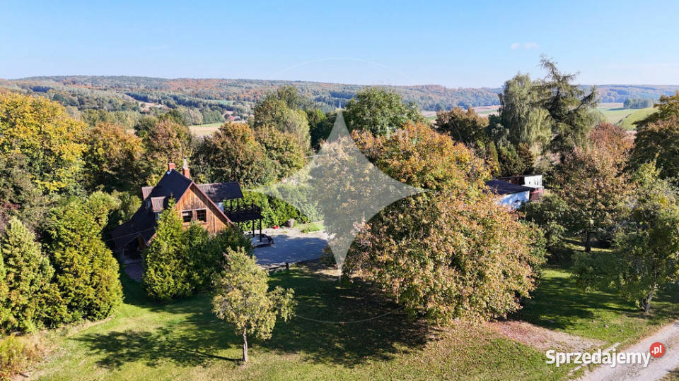 Przytulny dom z potencjałem i ogromną działką lubelskie Drewniki