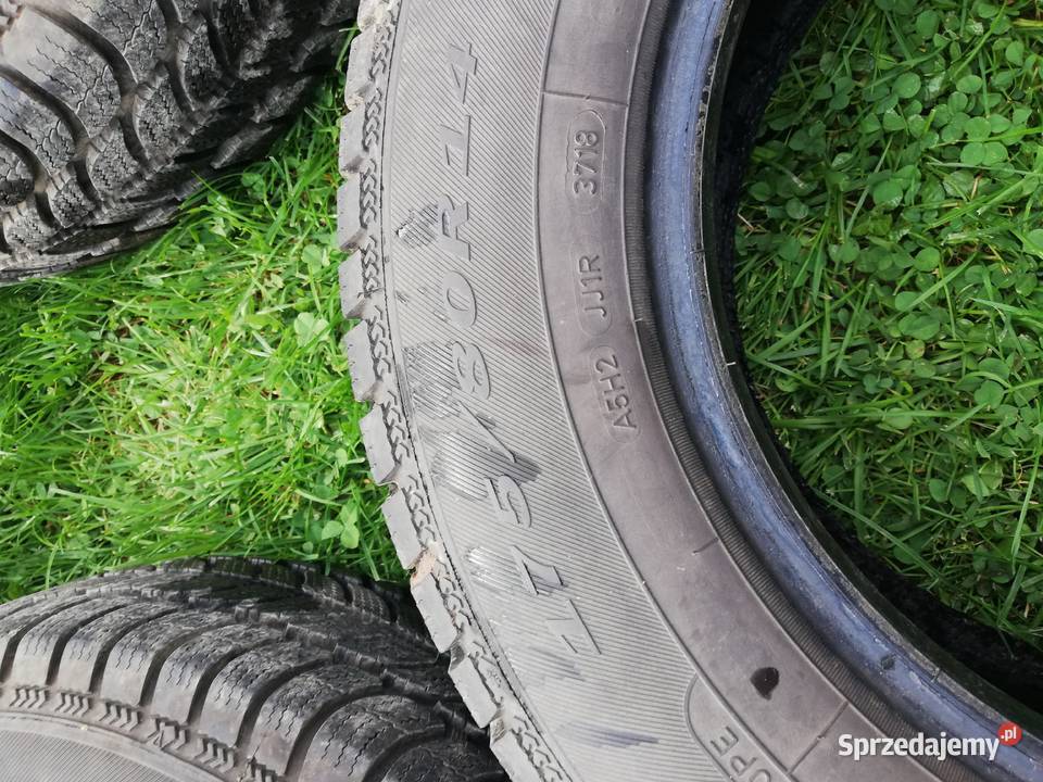 Opony zimowe Dębica Frigo nowe Izdebnik sprzedam