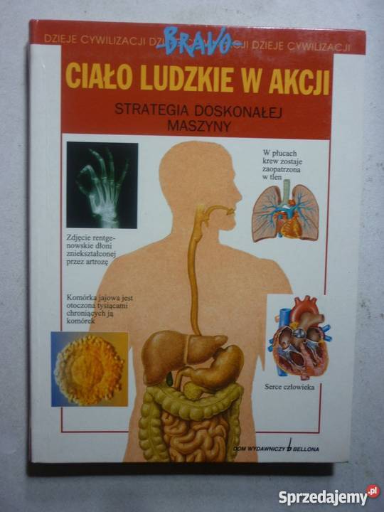 CIAŁO LUDZKIE W AKCJI BARBARA GALLVALOTTI Zielona Góra