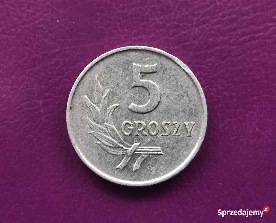 Moneta z PRLu 5 groszy 1962 Rzadka i Ładna Pruszków sprzedam