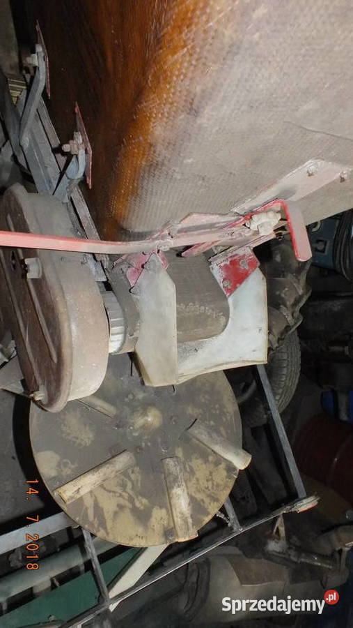 Siewnik KOS małopolskie Maruszyna