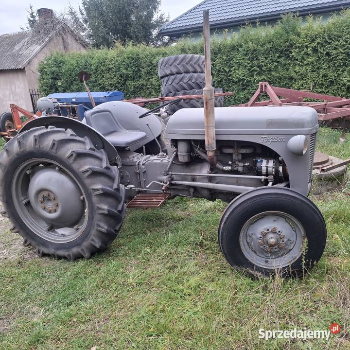 Ferguson Grabów nad Wisłą