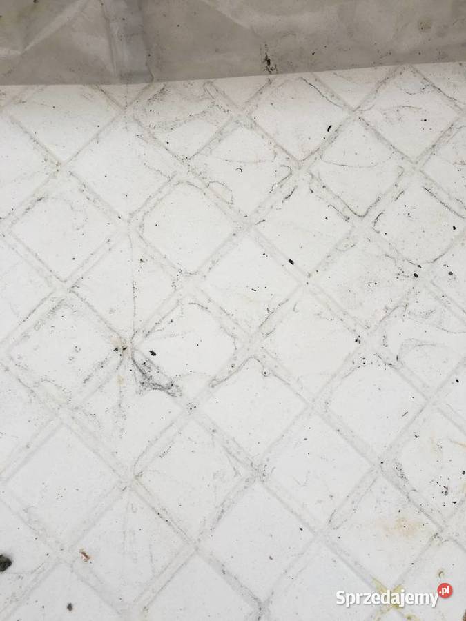 Gres P88480 firmy INALCO 80X80 mazowieckie Reguły