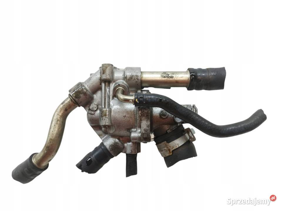 OBUDOWA TERMOSTATU 10 Honda Civic X 20172021 Termostaty świętokrzyskie