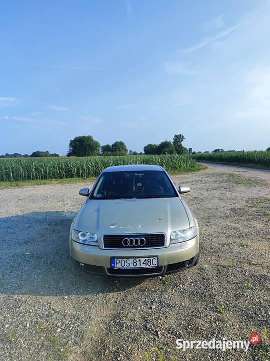 Audi a4 b6 20 benzyna lpg 48733416KM Koźmin Wielkopolski
