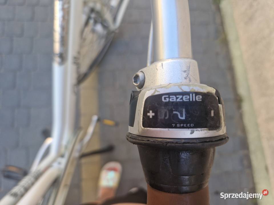 Rower elektryczny Gazelle Miss Grace Rogowo