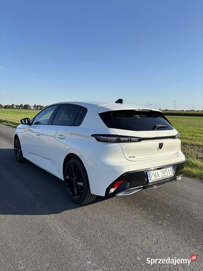 Peugeota 308 15 BlueHDI Active SS EAT8 Rok produkcji 2022 Gołańcz sprzedam