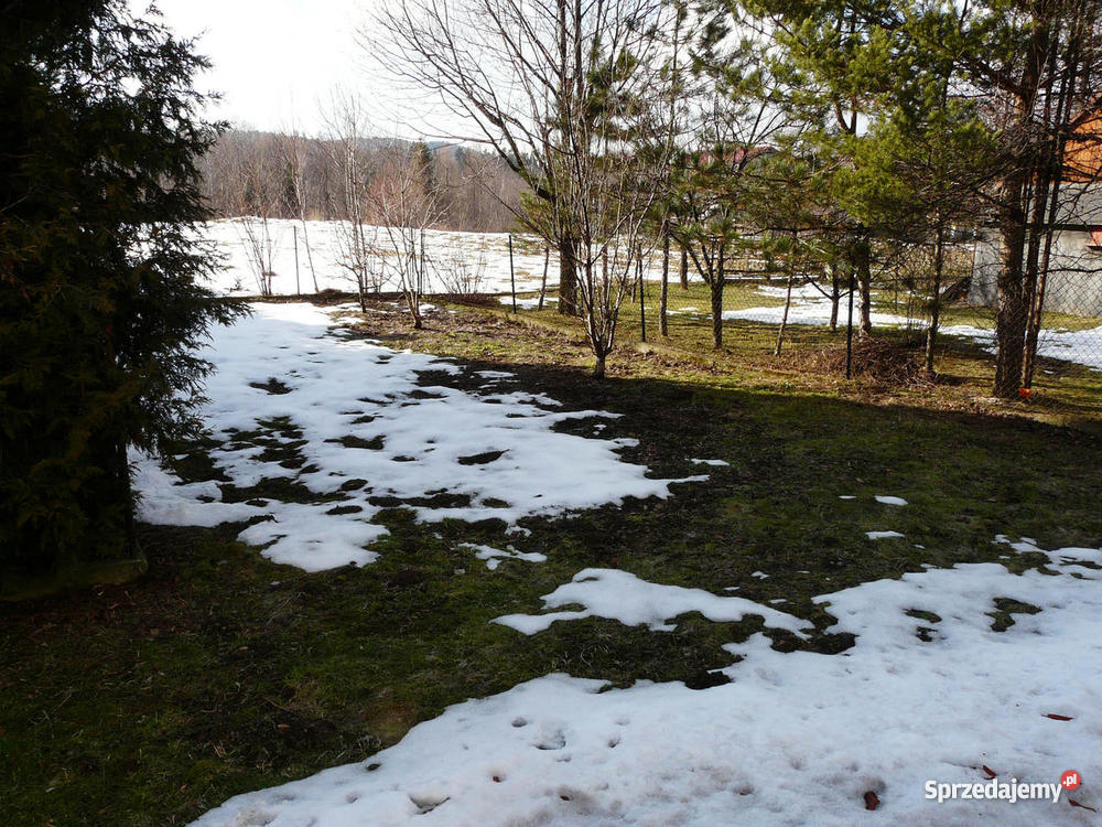 Jeleśnia dom pośredników Domy Jeleśnia