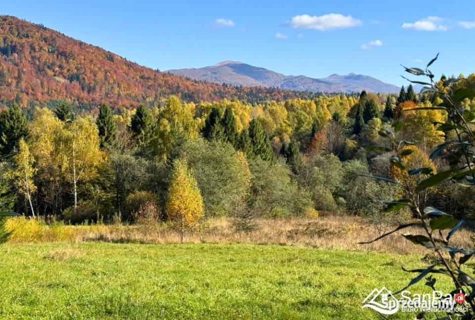 Grunt Krzywe 10100m2 podkarpackie