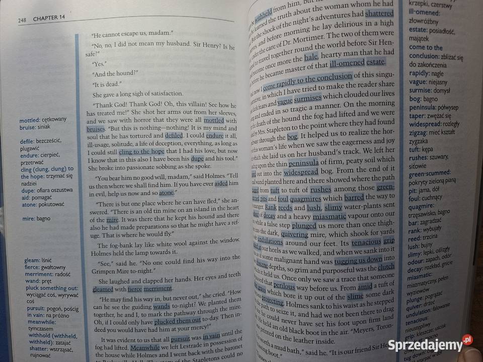Sherlock Holmes i pies Baskervilleów z Książki do nauki języka obcego Kraków sprzedam