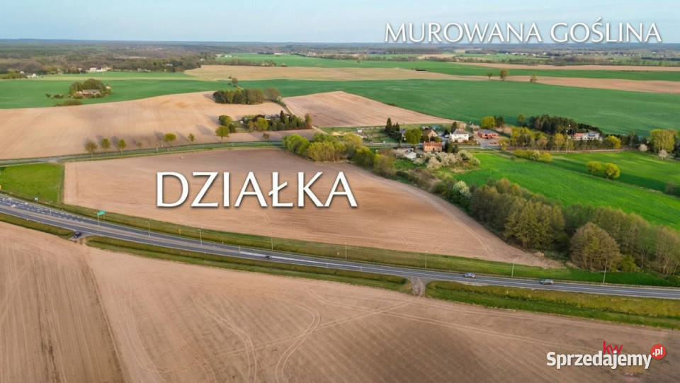 Działka Trojanowo 38051m2 sprzedam