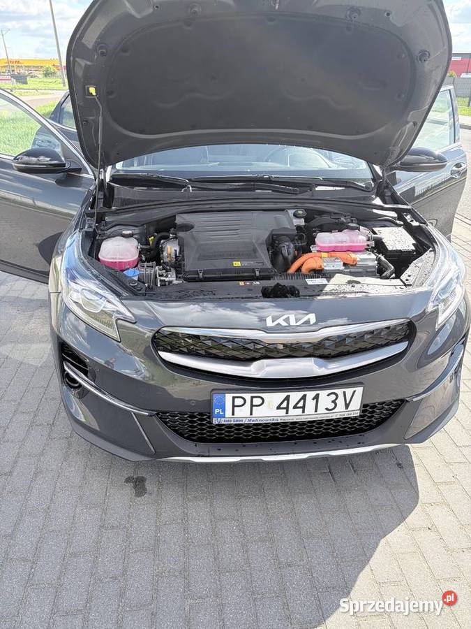 kia xceed 15 141 2022r Piła