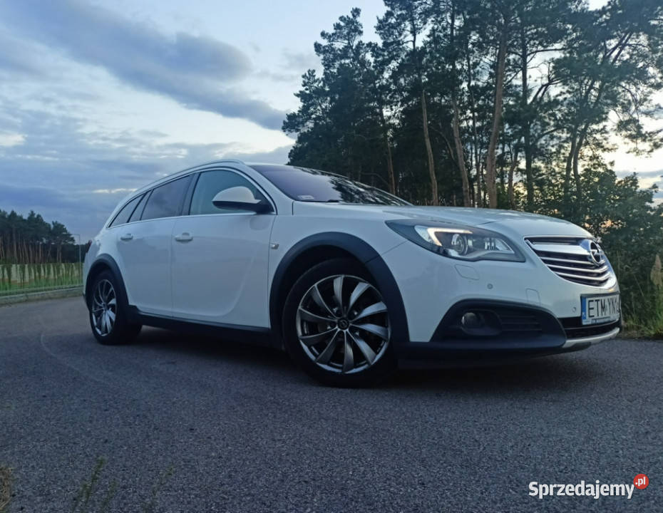 Opel Insignia Country Tourer Country Tourer klimatyzacja