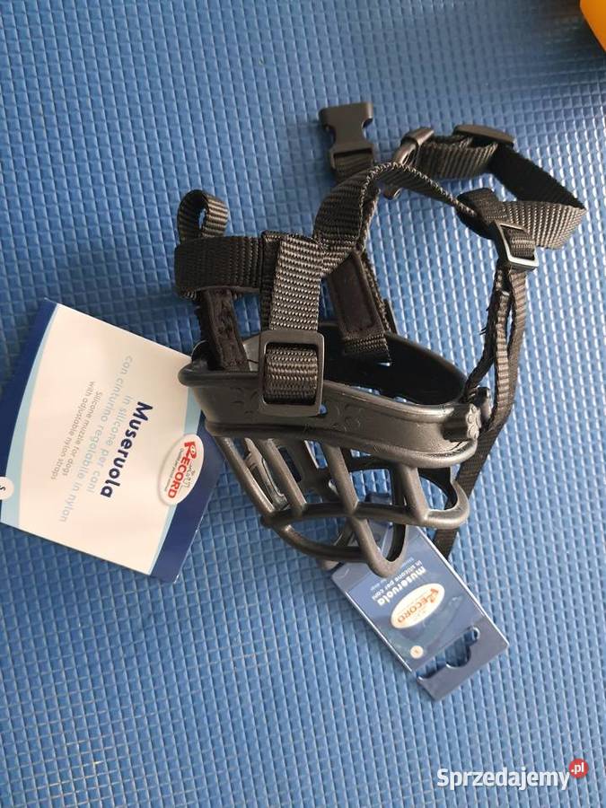 Kaganiec psa S Piaseczno sprzedam