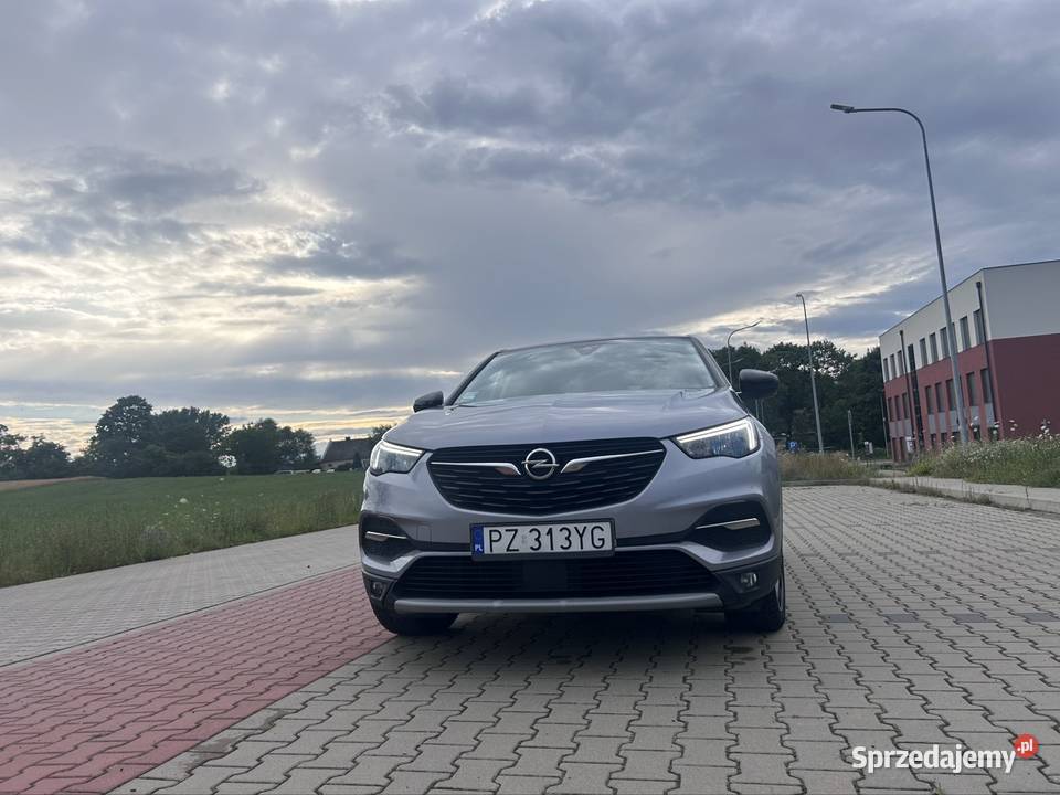 Opel grandland x Poznań