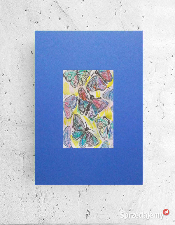 motylki plakat na ścianę motyle plakat a4 Białystok
