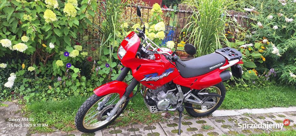 Honda Dominator NX