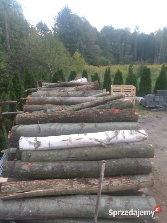 Drewno opalowe Kałuszyn