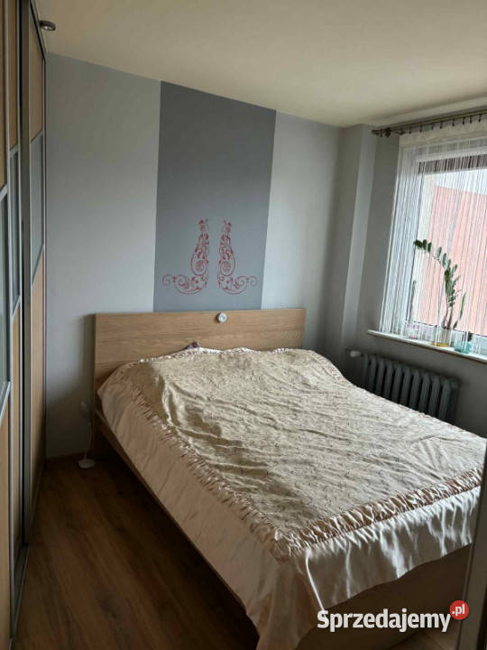 sprzedam mieszkanie 3 pokojowe mieszkanie w Katowice