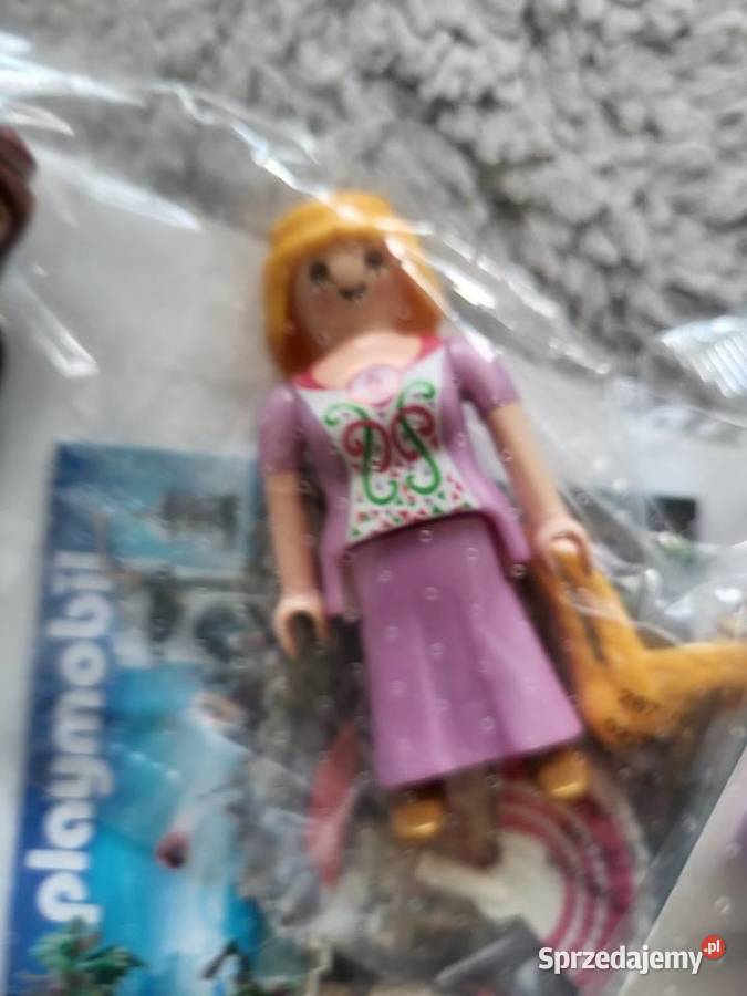 Playmobil figurka plus akcesoria 1 Częstochowa sprzedam