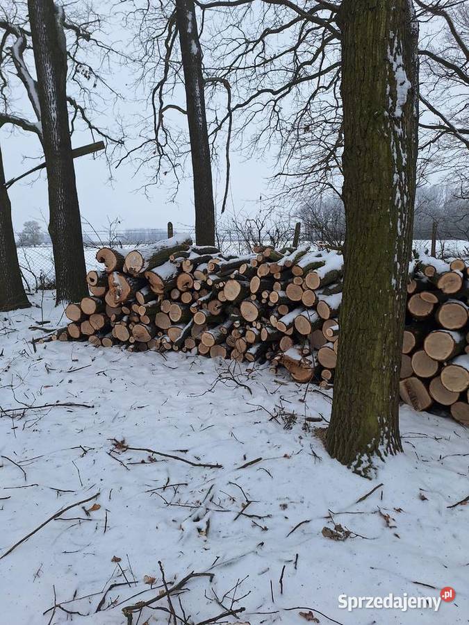 Drewno drzewo opałowe JABŁOŃ DĄB mazowieckie Grójec sprzedam