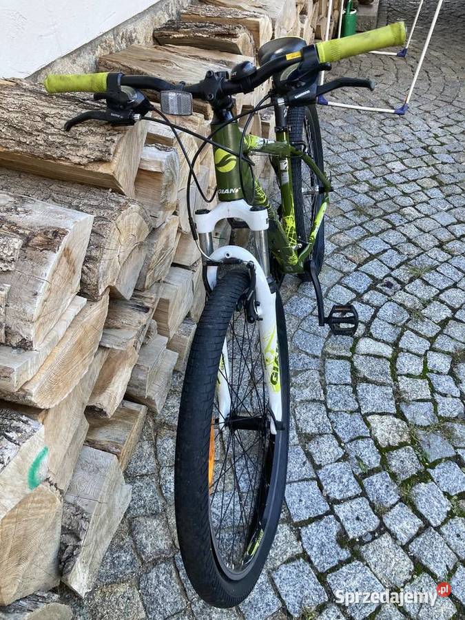 ROWER GIANT REVEL S
