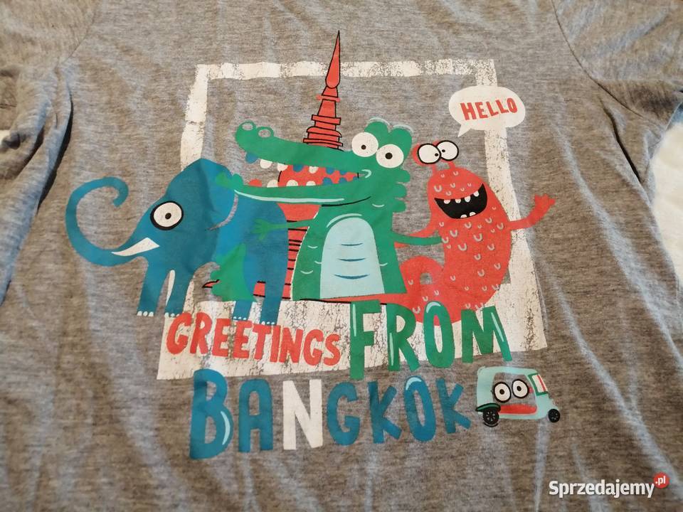 Koszulka krótki rękaw zwierzęta Bangkok 104 Smyk Cool Club Czeladź