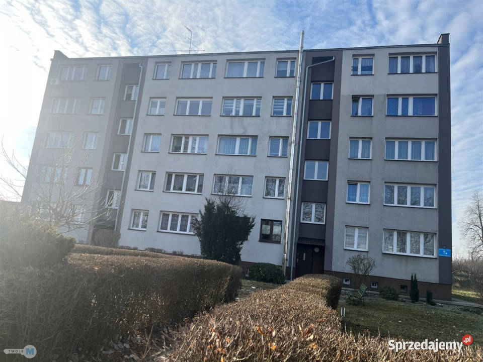 Mieszkanie Jędrzejów 46m2 2 pokoje sprzedam