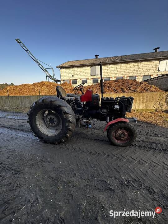 Zetor major 3011 kujawsko-pomorskie Brodnica