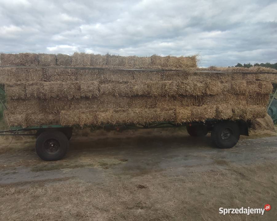 Sprzedam Strzelce Krajeńskie