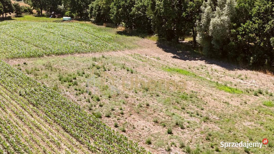 Działka w RadzankuGmMaszewo warzabud zachodniopomorskie Radzanek