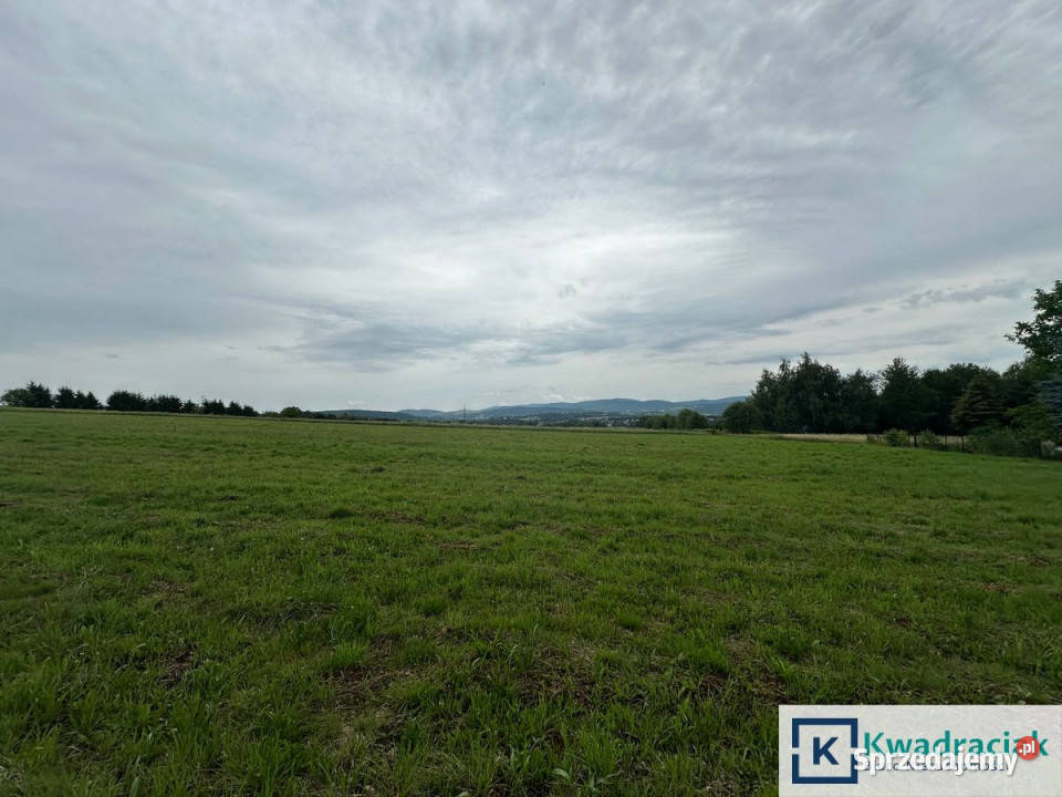 Działka Korczyna 2192m2 2192m2 Sprzedaż małopolskie