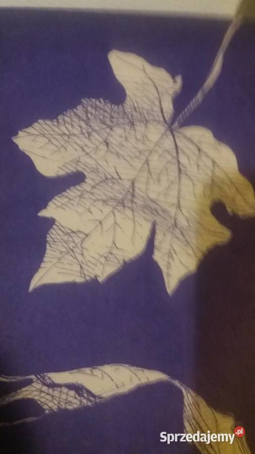 Prawdziwe życie Kann stare ładne książki Warszawa