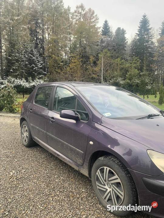 Peugeot 307 16 benzyna Gnojnica