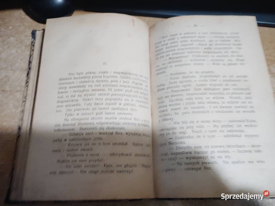 Reymont W BUNT baśń 1924 wydanie 1 w PRL indeksi Iwno