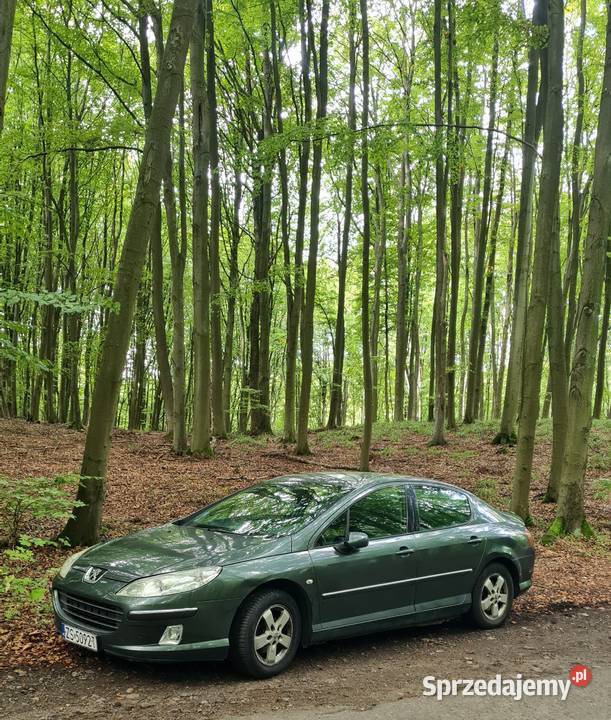 Peugeot 407 20 2007 DT nieuszkodzony sprzedam