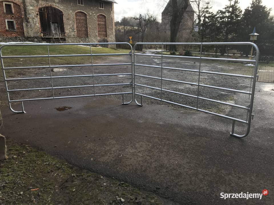 Paśniki łąkowe bydła Jelenia Góra